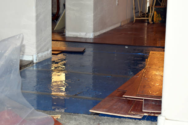 Professional Sewage Cleanup technician working in Whitewater, KS
